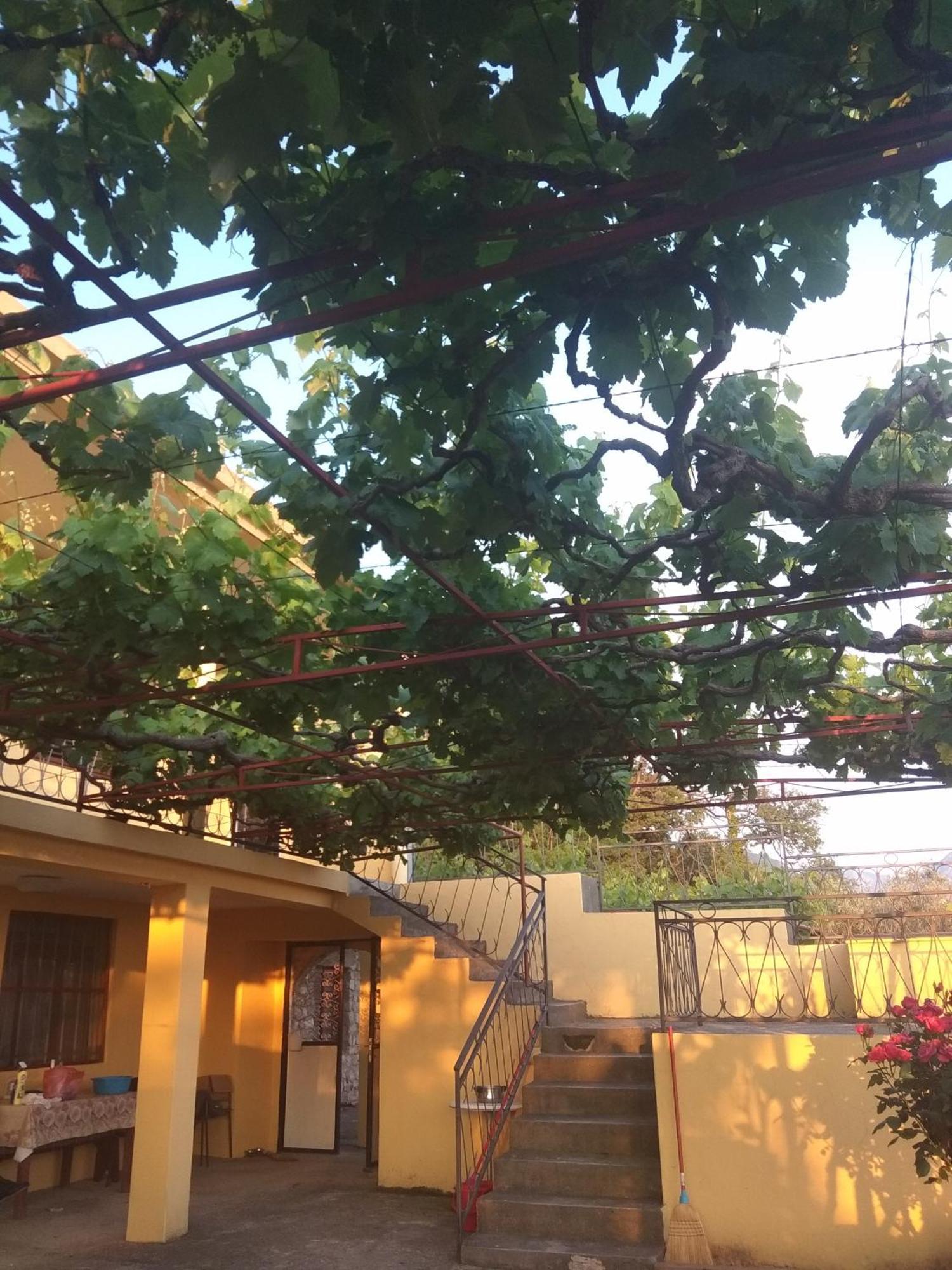 Apartman "Marko" Bar Exterior foto
